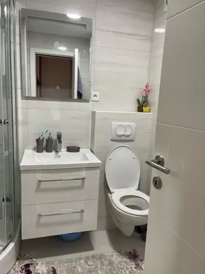 a bathroom with a toilet and a sink and a shower at Apartman DVA SRCA in Bar