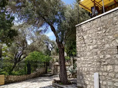 a tree sitting next to a stone wall at Villa Golda, The whole house Biker Friendly in Rijeka Reževići