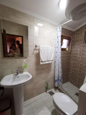 a bathroom with a sink and a toilet and a shower at Old Town - Guest House in Stari Bar