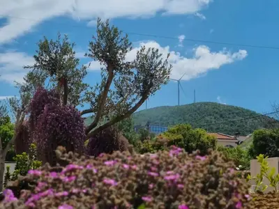 a garden with flowers and a mountain in the background at Cold Bay Mansion Luxury Sea View Suites in Bar