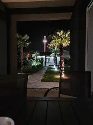 a room with a chair and palm trees at night at Villa „Taki“ Podgorica in Podgorica