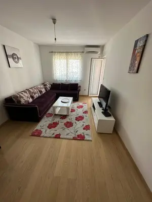 a living room with a couch and a tv at Thousand Roses in Podgorica