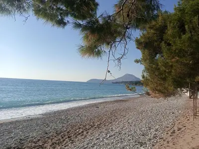 a beach with pine trees and the ocean at гостевой дом Polina2 in Gornji Sušanj