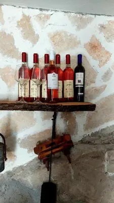 a group of bottles of wine sitting on a shelf at Vinogradina Eco Vukčević in Virpazar