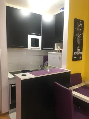 a kitchen with black cabinets and a counter top at Apartman Tanjuška in Podgorica