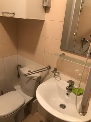 a small bathroom with a toilet and a sink at Apartman Tanjuška in Podgorica