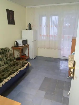a living room with a couch and a refrigerator at Гостевой дом Polina in Gornji Sušanj