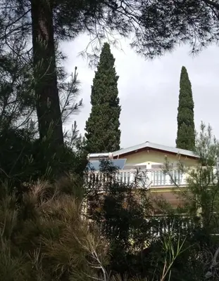 a house with two tall trees in front of it at Гостевой дом Polina in Gornji Sušanj